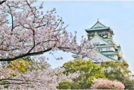 渡辺住研社