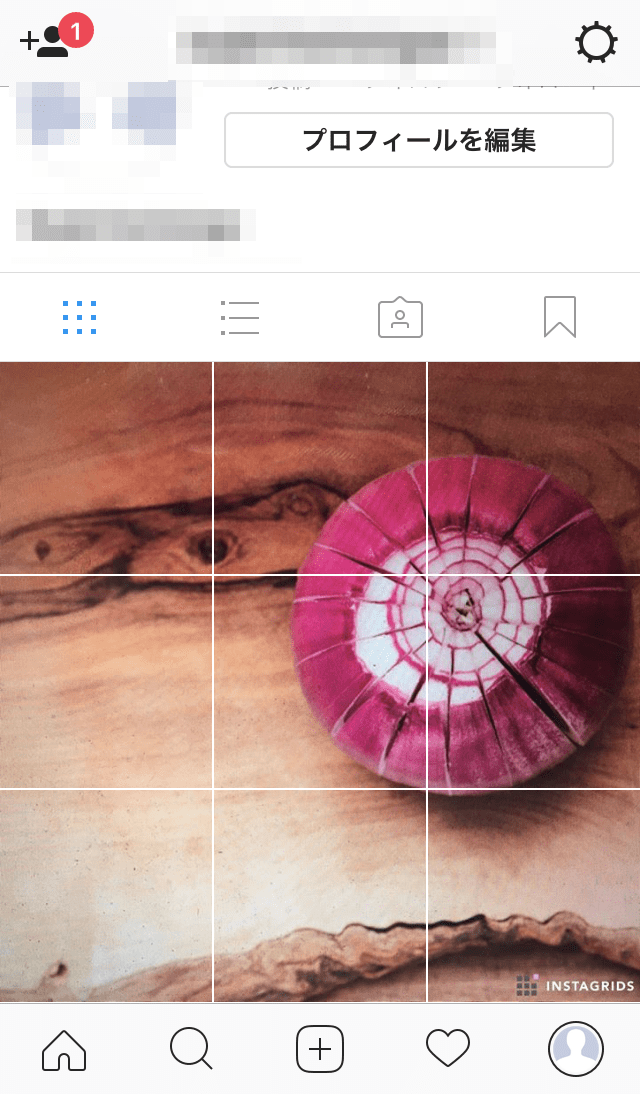 インスタグラム-Instagrids14