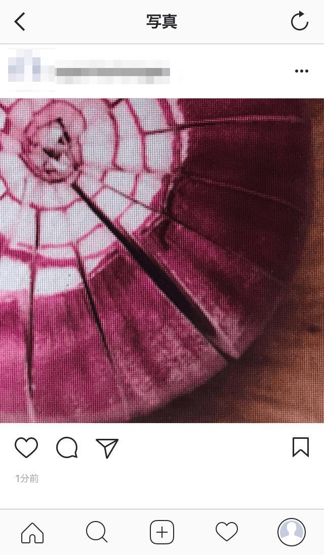 インスタグラム-Instagrids15