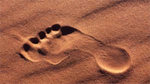 相手に見える？インスタグラムに足跡機能はあるのかを解説