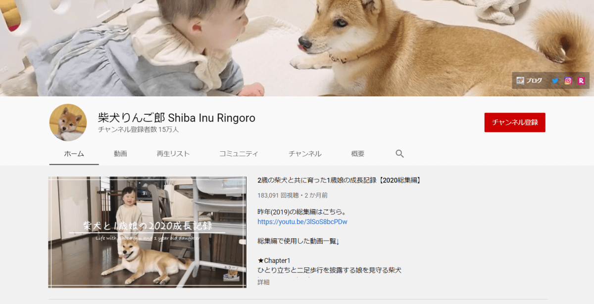 youtube-family-influencer-shiba-inu-ringoro