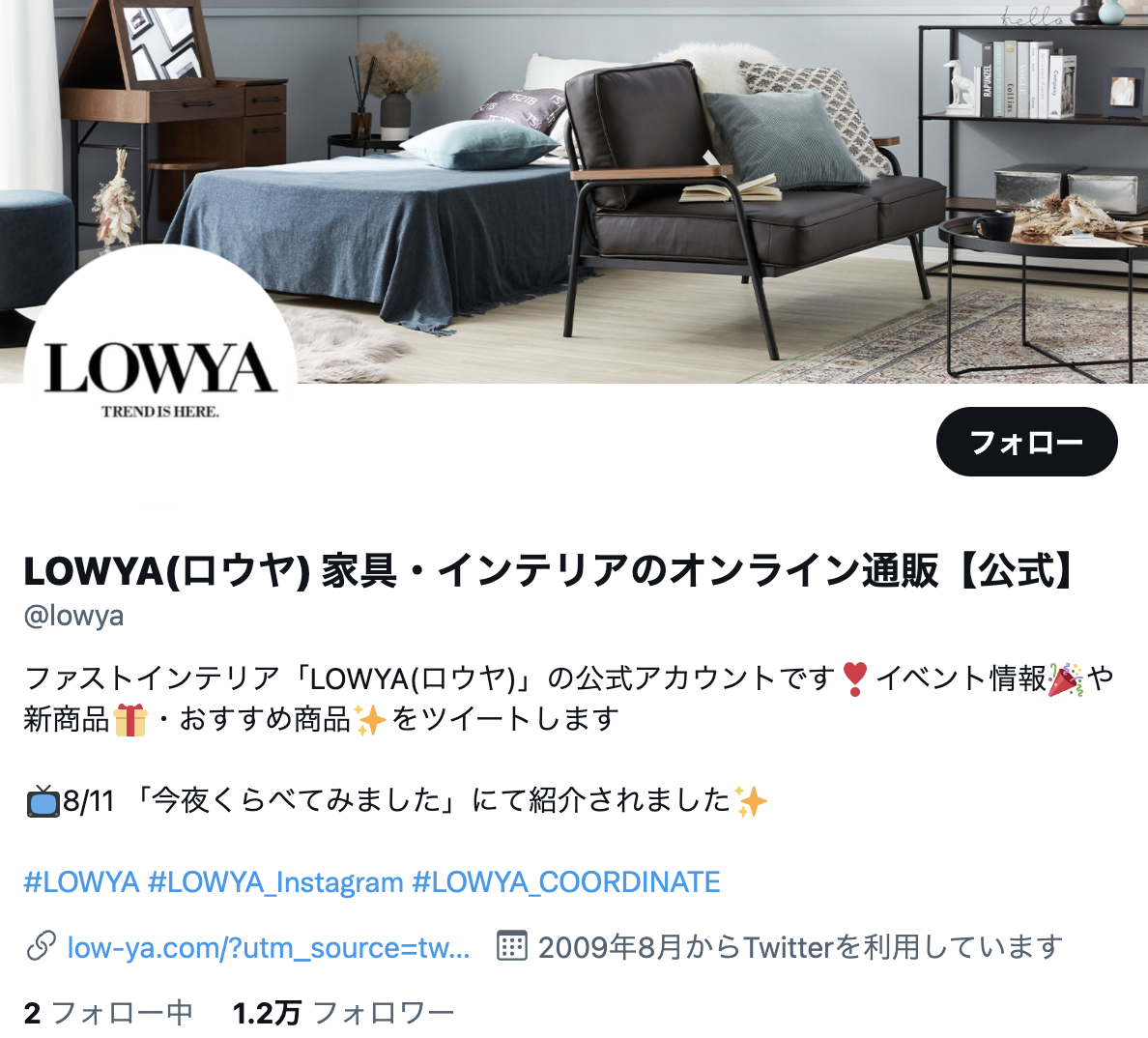 lowya-twitter-top