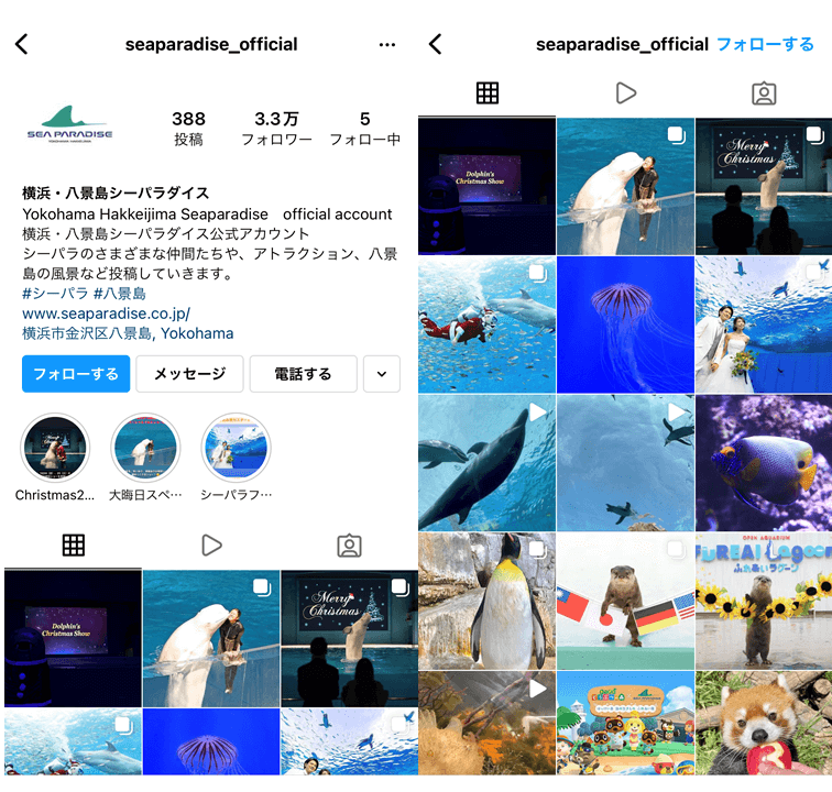themepark-Instagram-profile-4