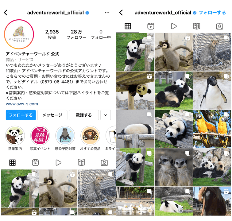 themepark-Instagram-profile-5