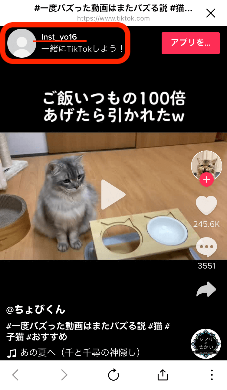 tiktok-how-to-link-copy4