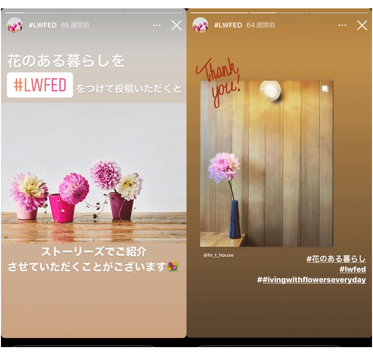 flower-Instagram-profile-3