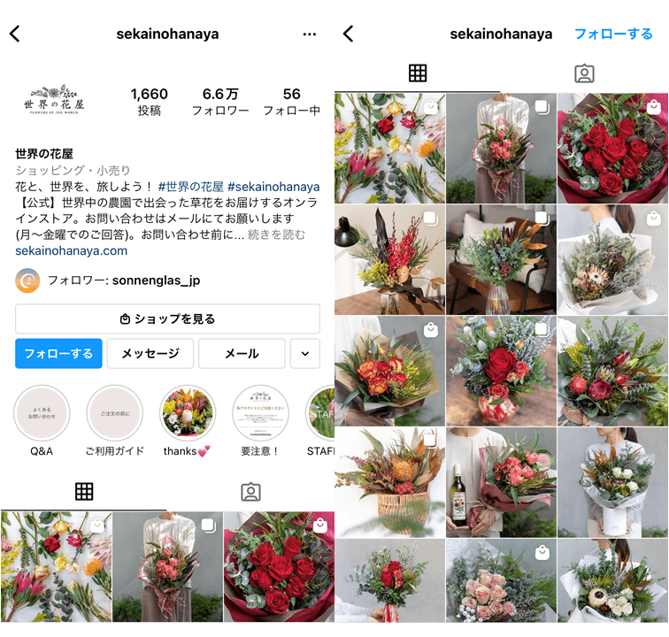 flower-Instagram-profile-7.jpg