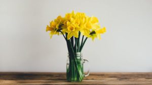 【解説】花屋・花関連ビジネスのInstagramアカウント事例5選と運用のポイント
