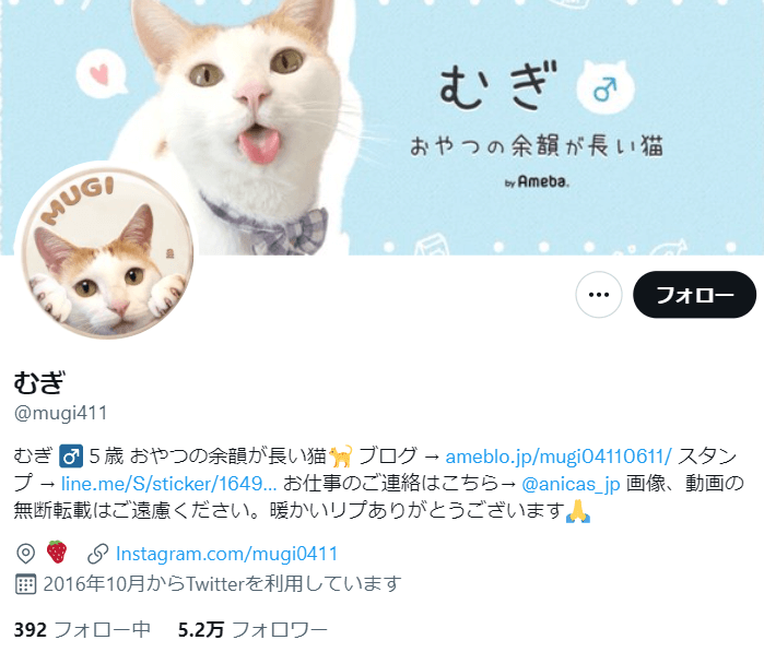 pet-Twitter-profile-4