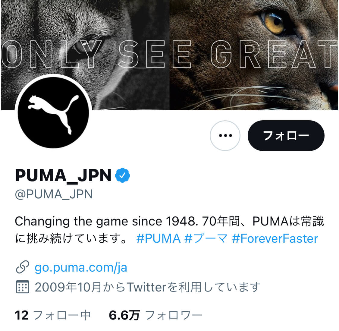 puma-top