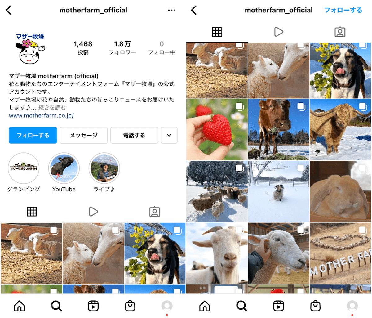 instagram-top-mother-farm