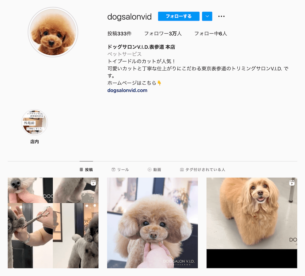 instagram-top-dogsalonvid