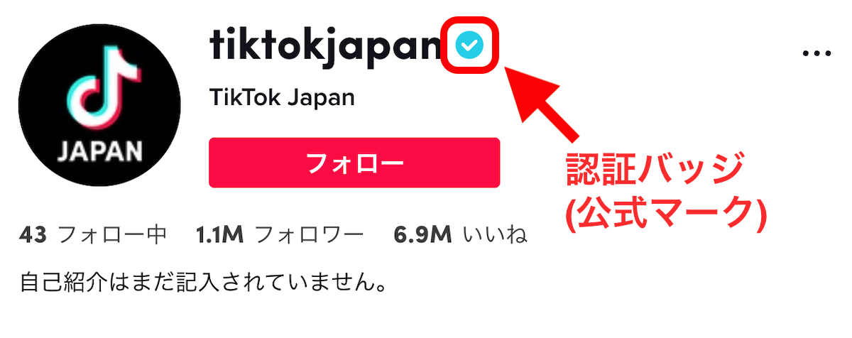 tiktok-japan-account-top
