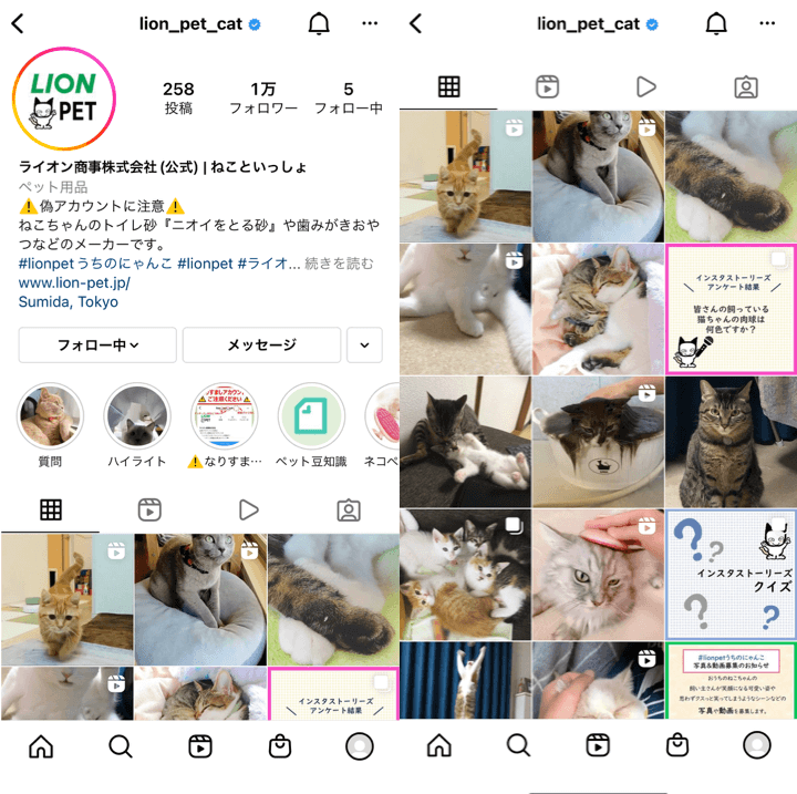 lionpetcat-instagram-top