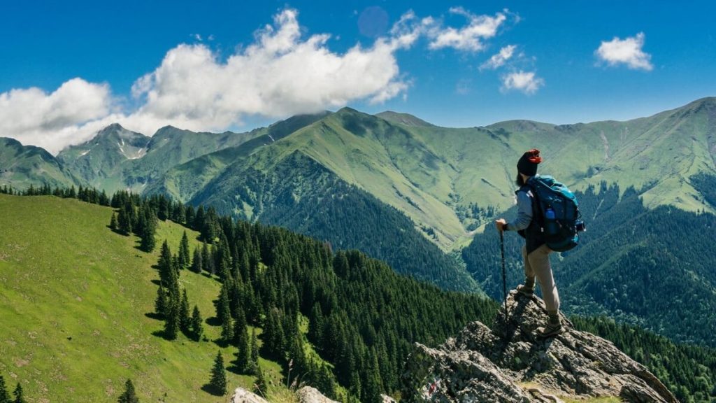 sightseeing-brand-image-1