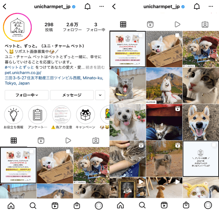 かわいい ペット関連企業のinstagram企業アカウント成功事例