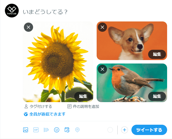 SNS-size-Twitte-2
