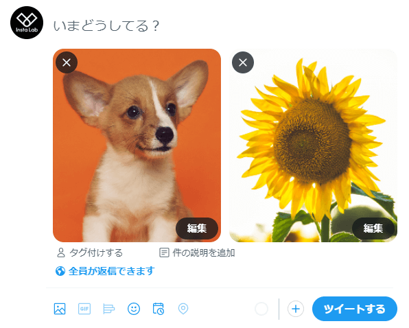 SNS-size-Twitter-1