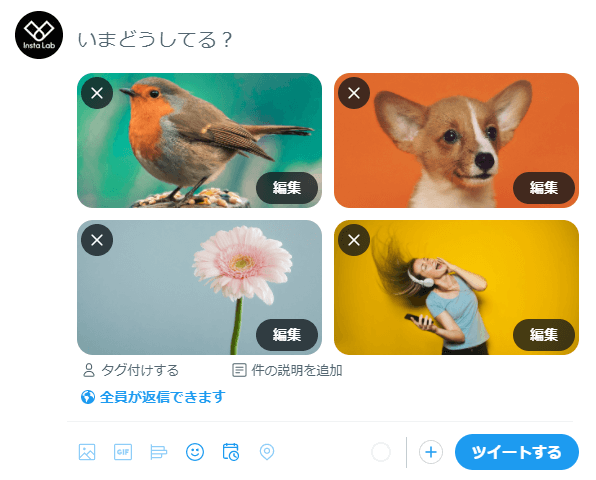 SNS-size-Twitter-3