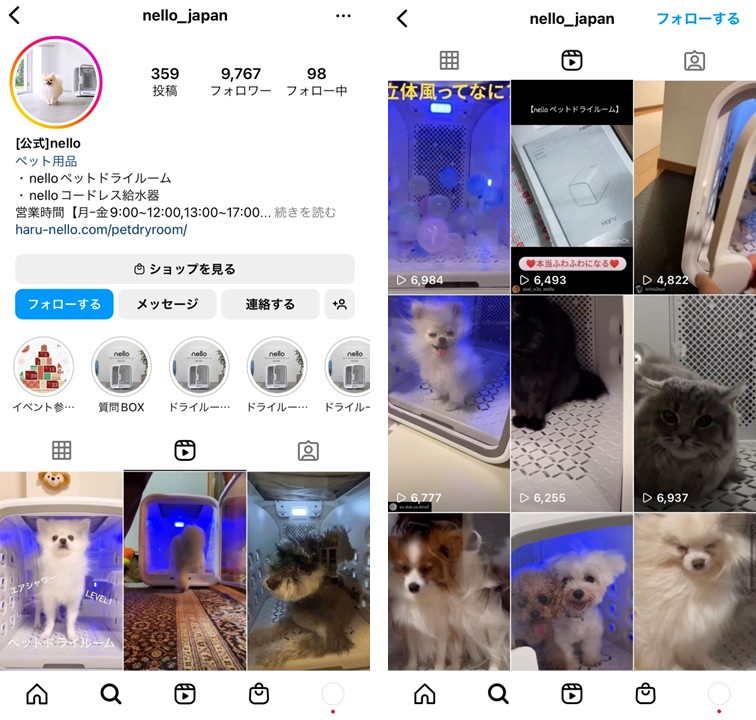 instagram-reel-pet-company-5