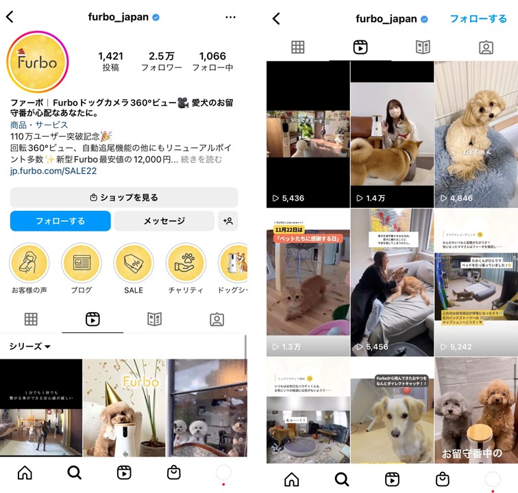 instagram-reel-pet-company-1