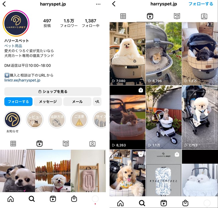 instagram-reel-pet-company-4