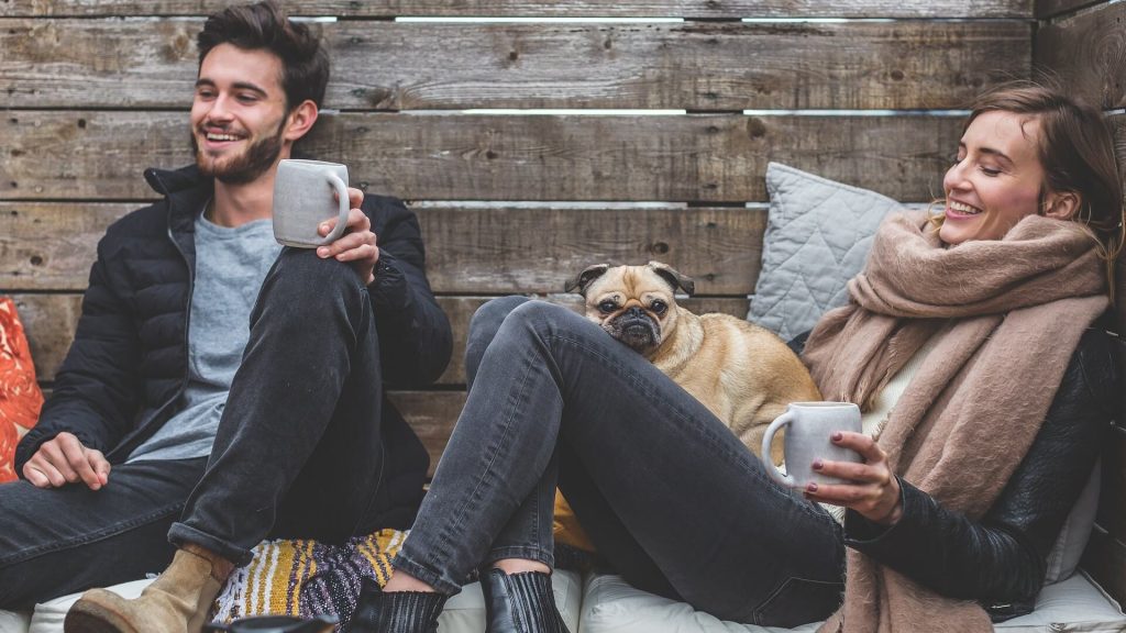 instagram-reel-pet-4