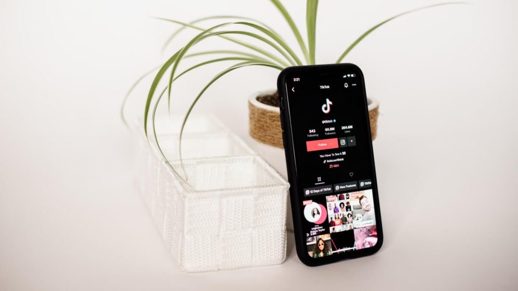 news-tiktok-violation-system-top