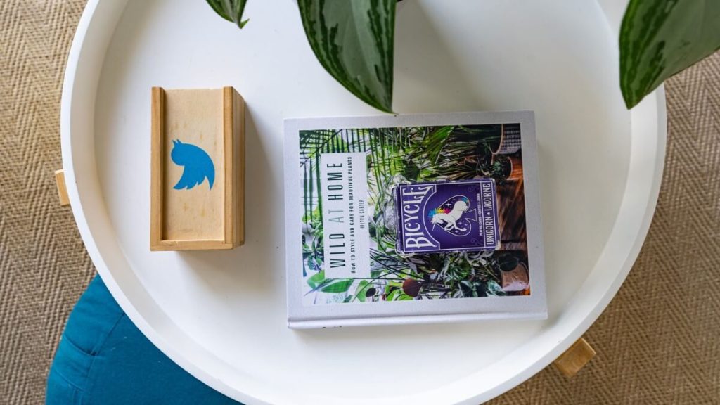 news-twitter-subscription-top