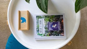 【最新ニュース】Twitter、クリエイターが収益化できる「サブスクリプション」サービスの提供を日本でも開始