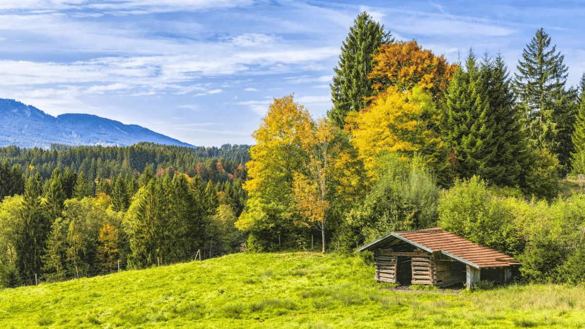 hut-in-the-woods