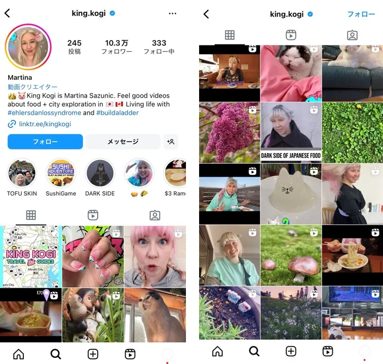 king.kogi-account