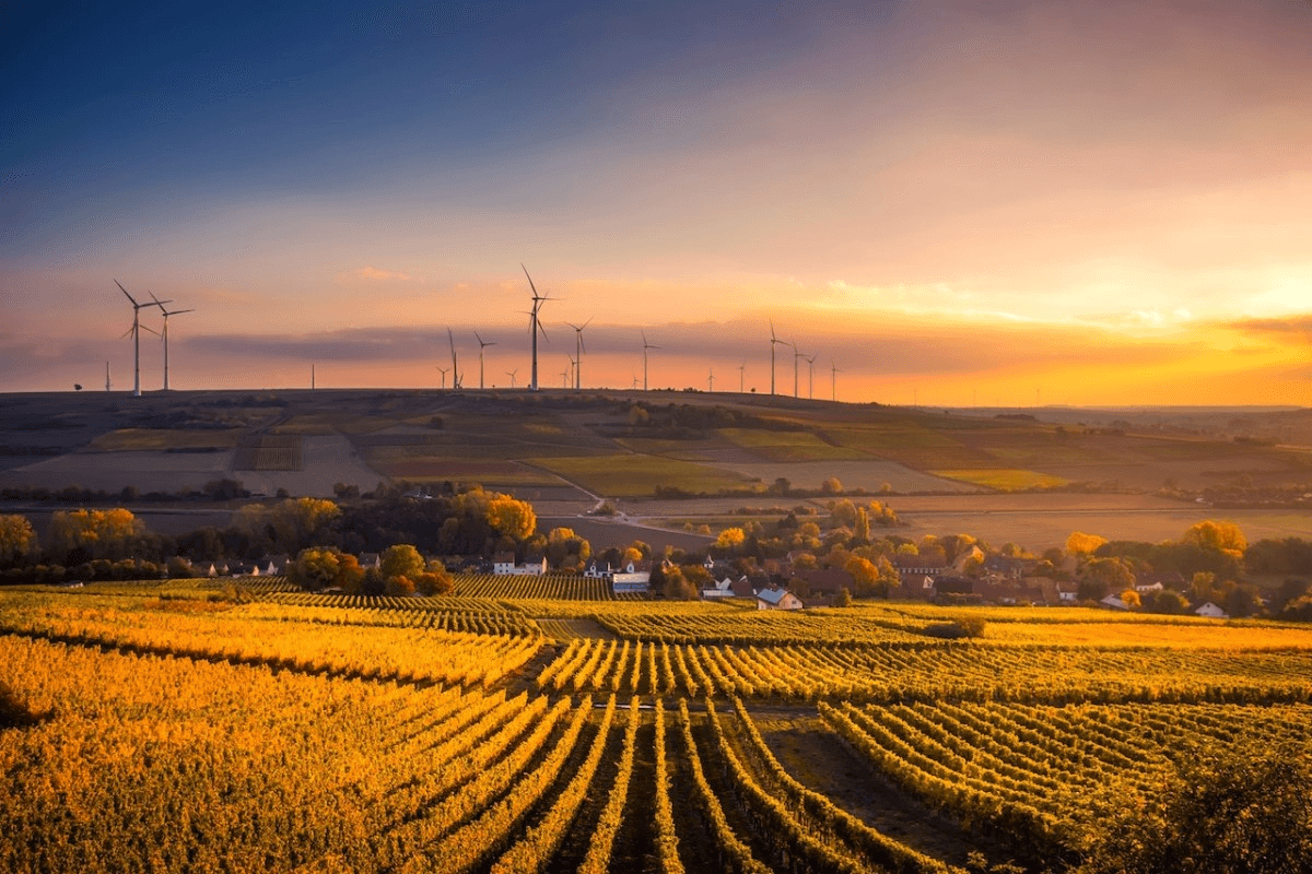 sunset-and-countryside