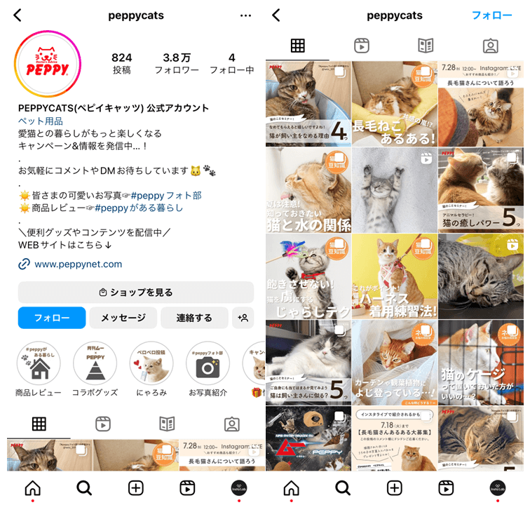 instagram-pet-goods-3