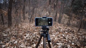 【X(旧Twitter)編】ショート動画を活用したタイアップ成功事例5選