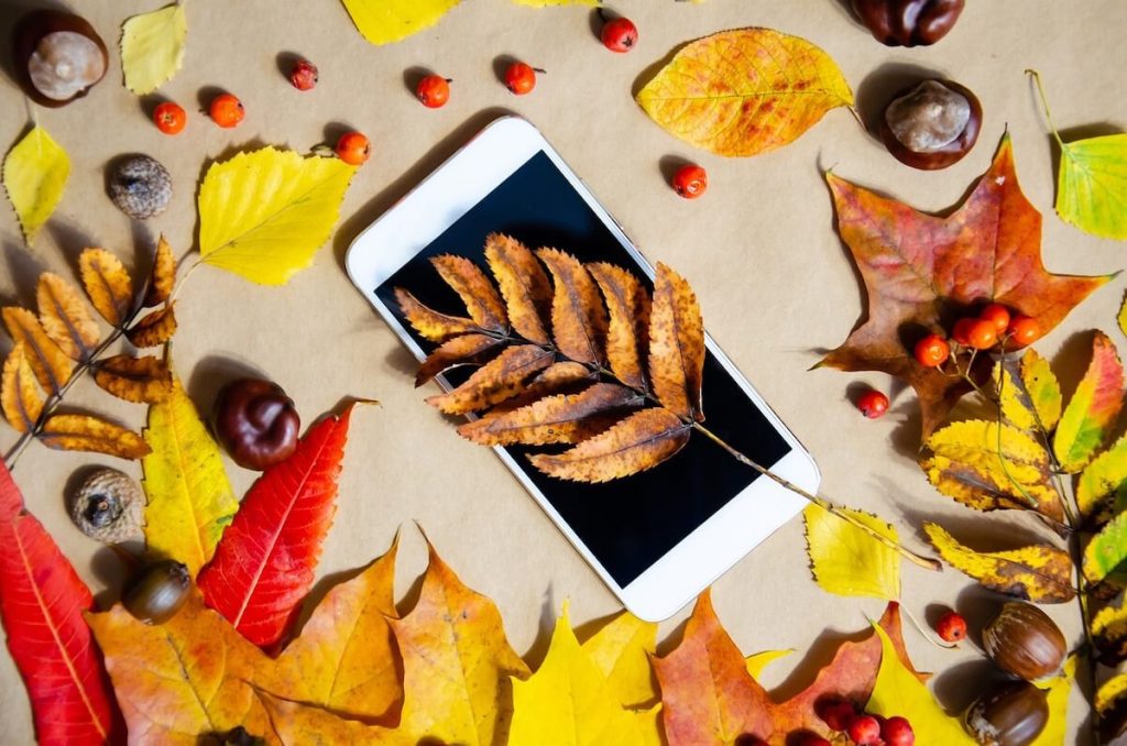 【2023年秋】Instagramリールでおすすめ！人気曲ランキングBEST10！