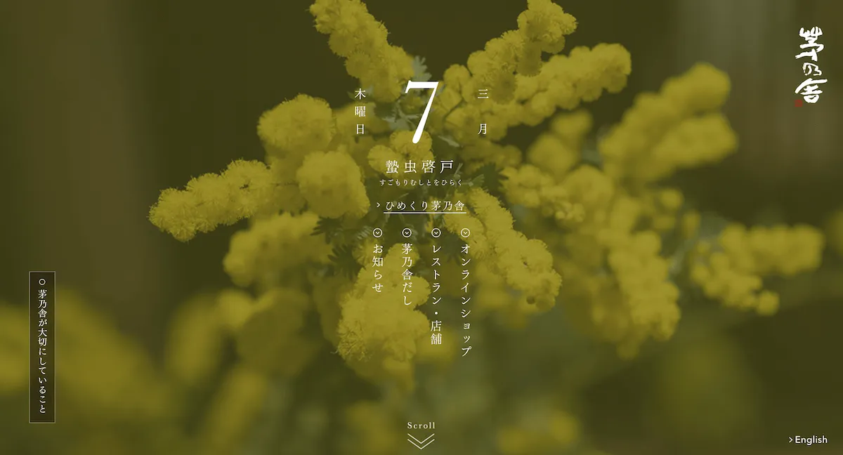 kayanoya-top