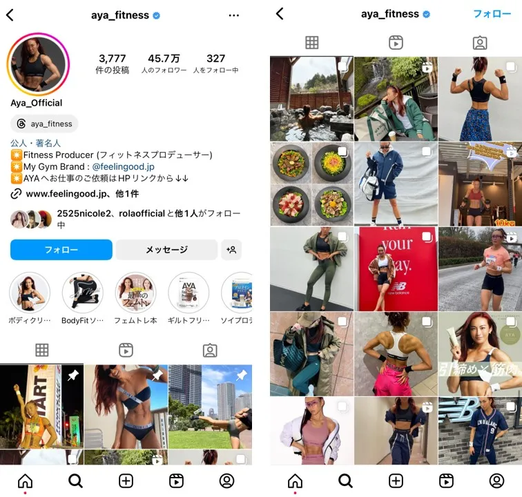 what-is-instagramer