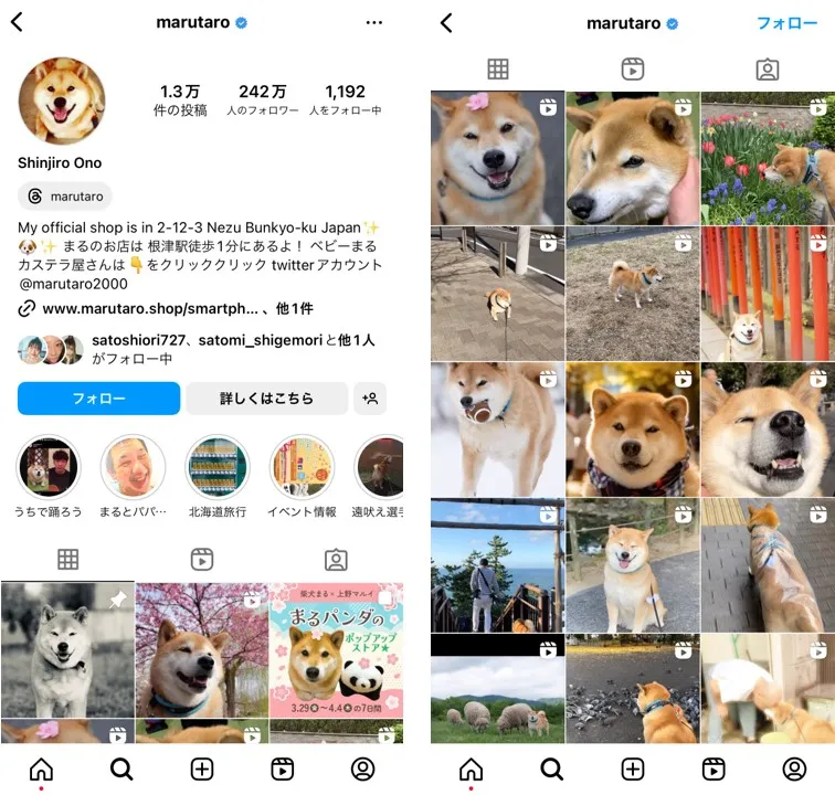 what-is-instagramer