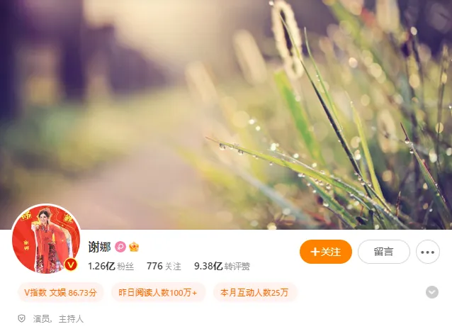 chinese-influencers