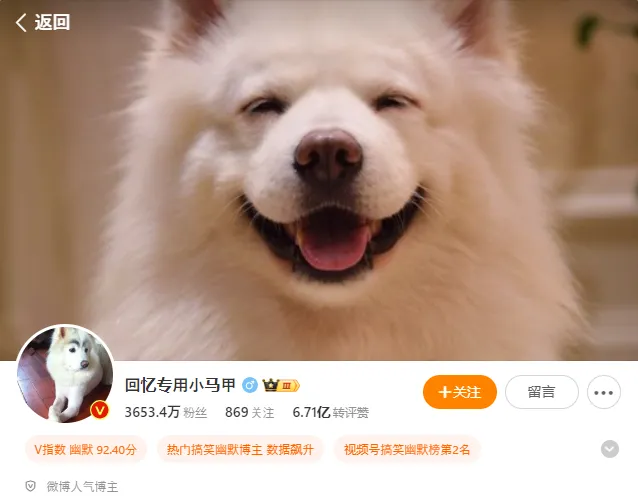 chinese-influencers