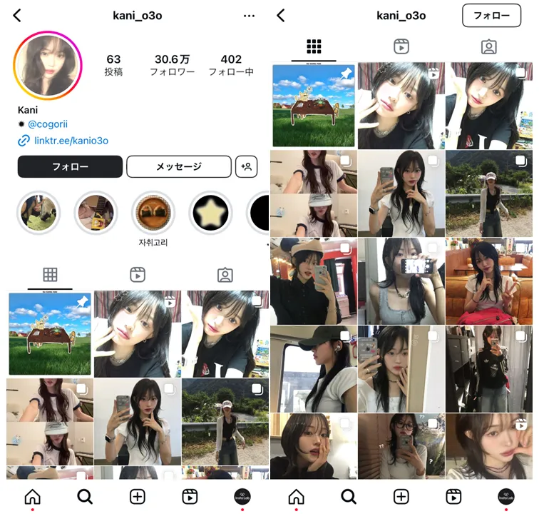 sns-influencer-korea-kani