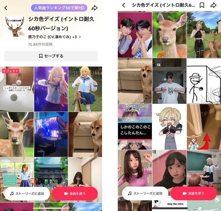 tiktok-music-2024-summer-6