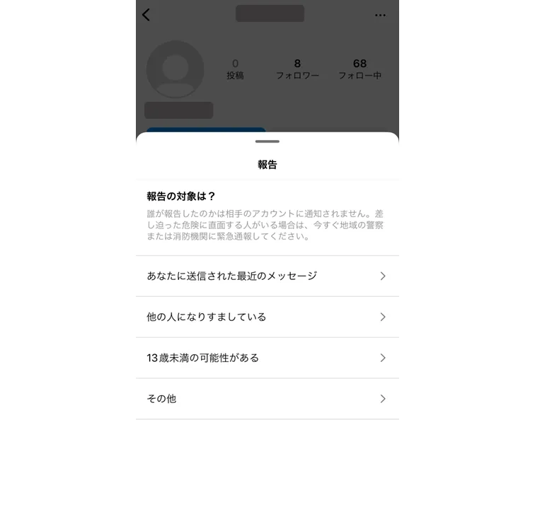 instagram-contact-profile-report