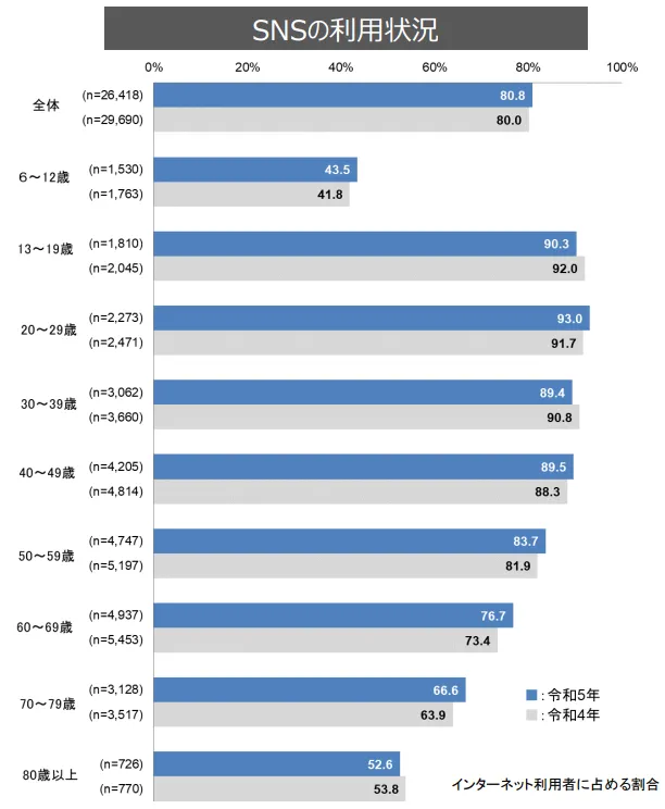 sns-johotsusintokei-statistics-fy2024