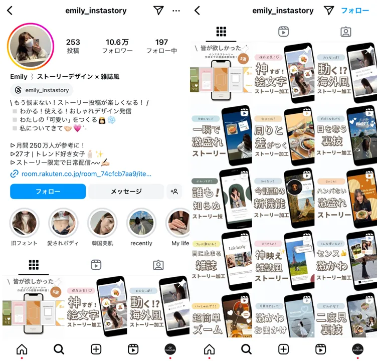 sns-niche-genre-influencer-emily