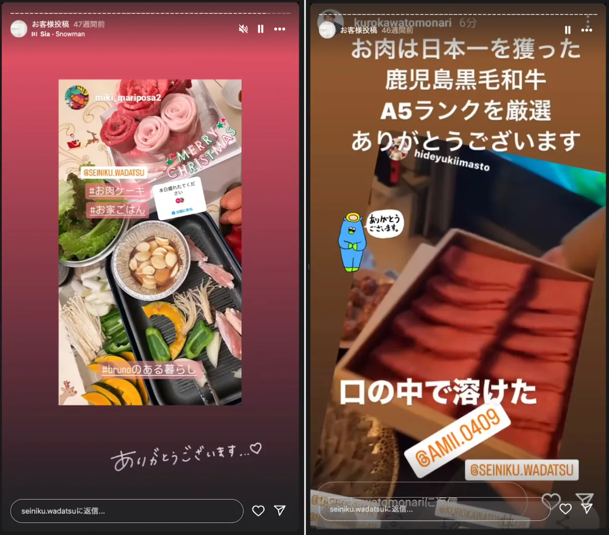 instagram-stories-wadatsu-seiniku