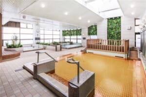 驚異の【クリック単価13円】を記録した「旅行系インフルエンサー×広告配信」とは?施策成功のポイントを解説!