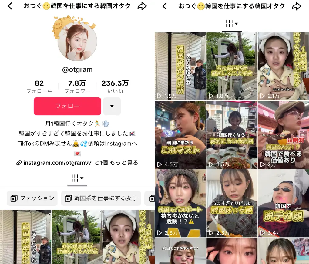 tiktok-otgram