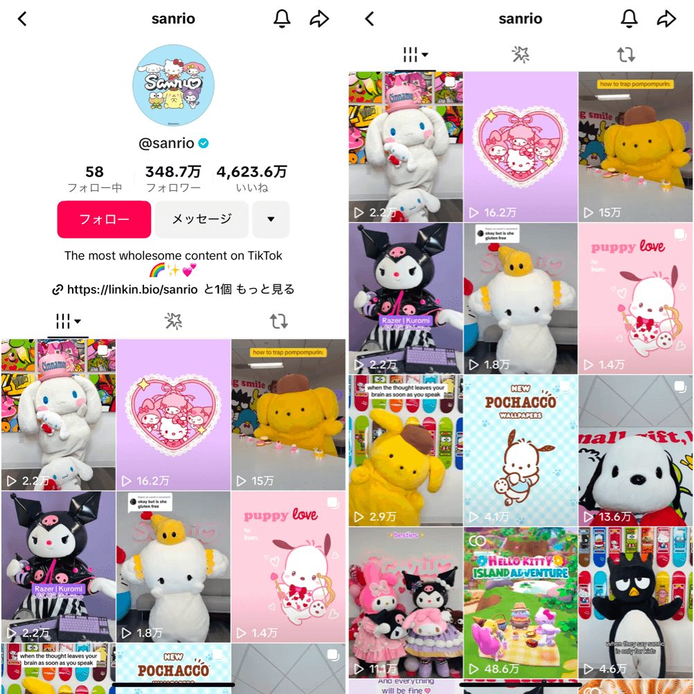 tiktok-sanrio